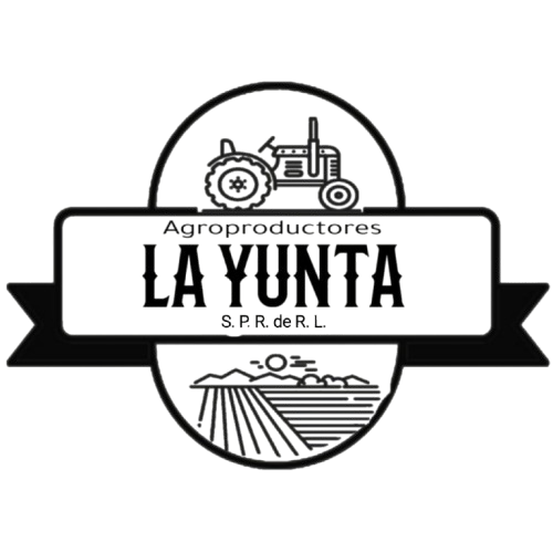 La Yunta